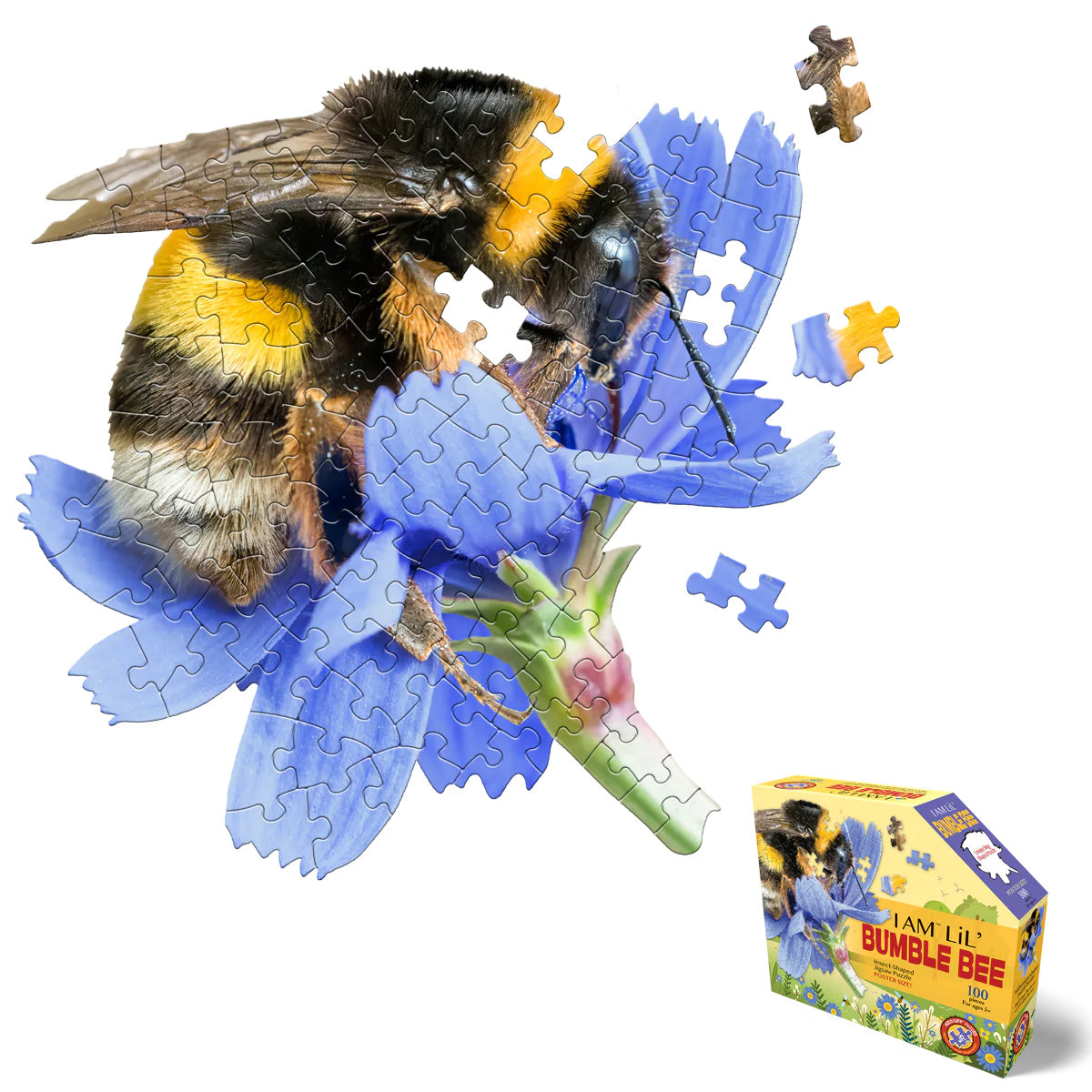 100 pc I Am Lil' Bumble Bee
