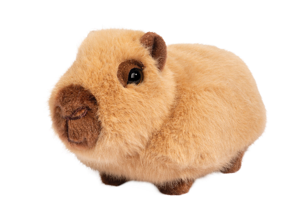 Chattie Capybara Mini