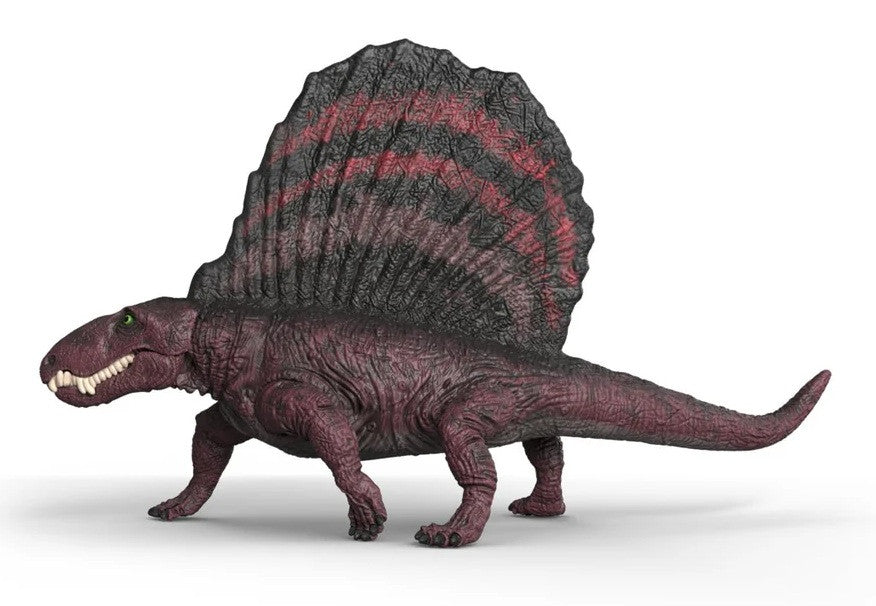 Dimetrodon