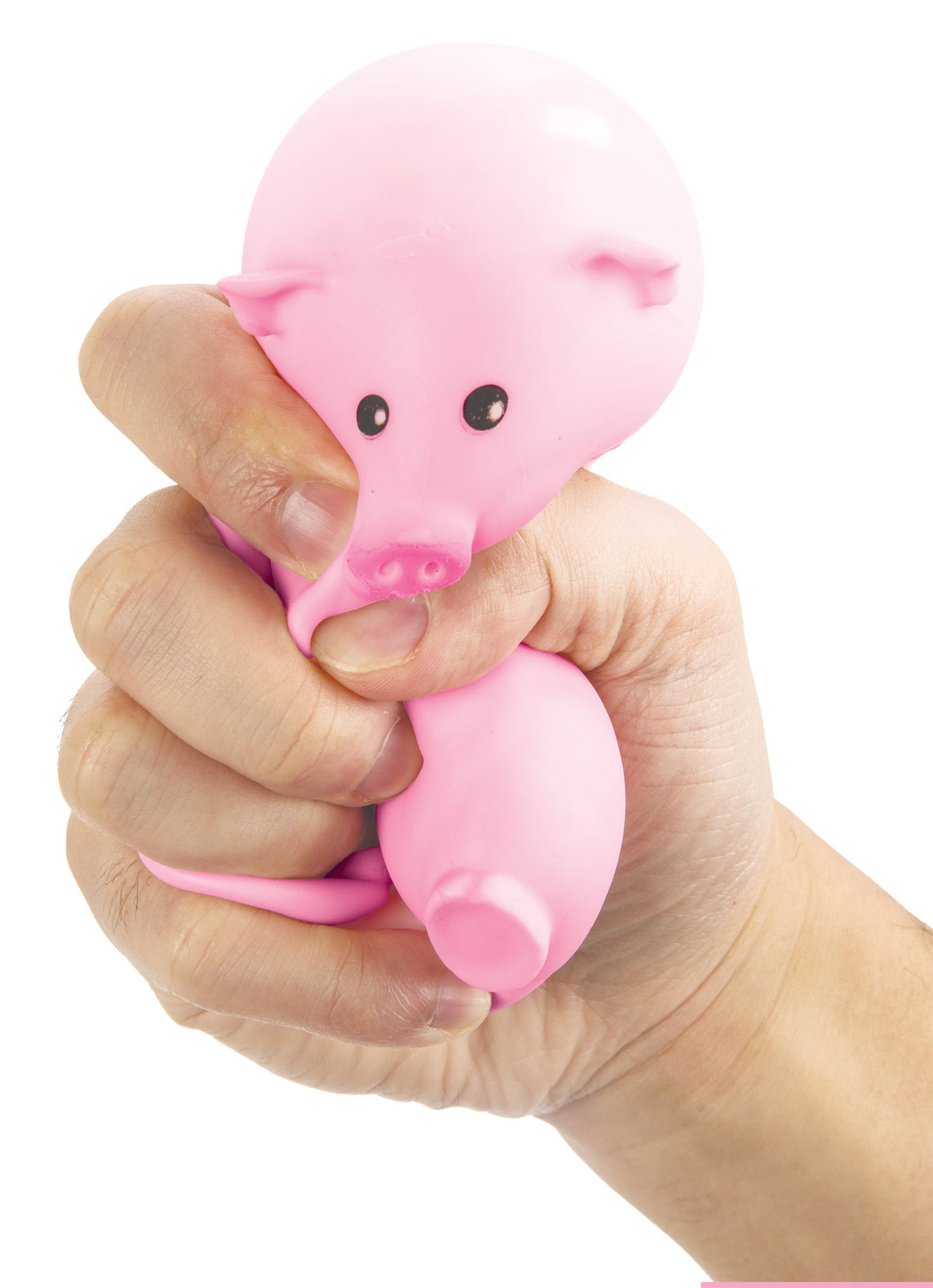 Squishy Pork