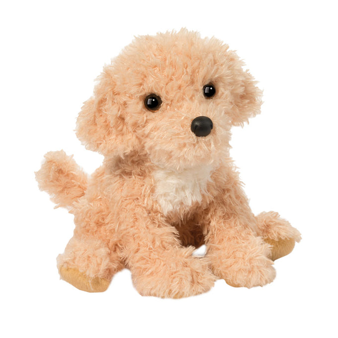 Noodle Golden Doodle Dog