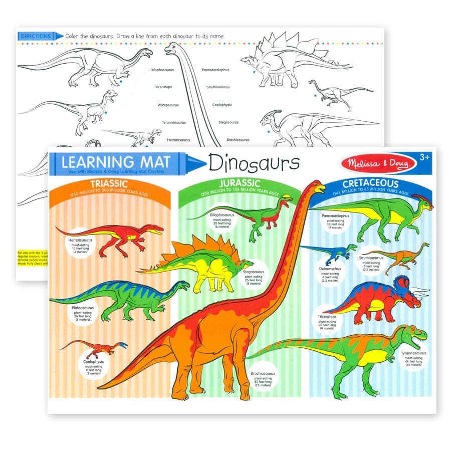 Dinosaurs Learning Mat