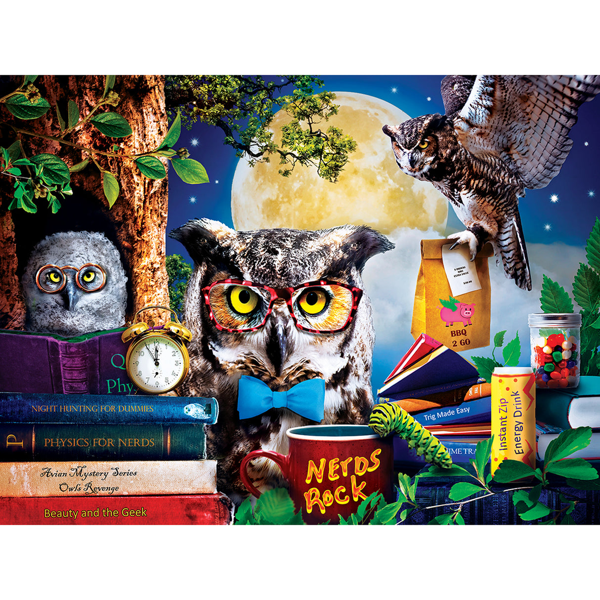 300 pc Night Owls Study Group Wild and Whimsical