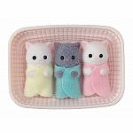 Persian Cat Triplets