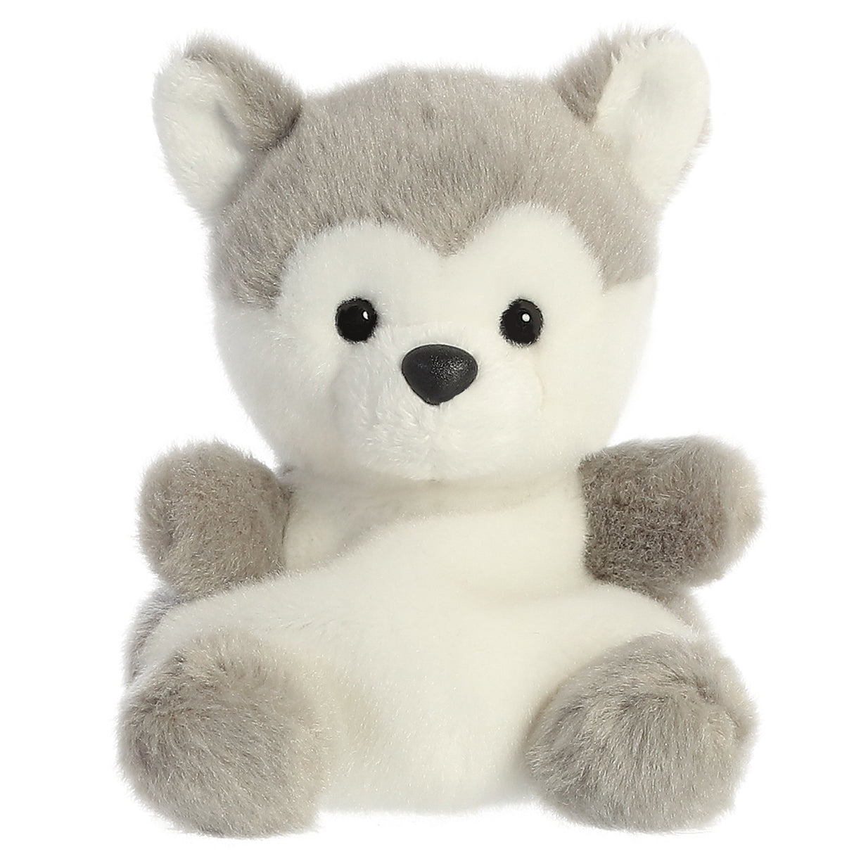 Busky Husky