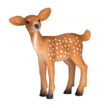 White Tail Deer Fawn