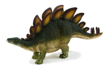 Stegosaurus