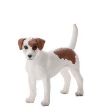 Jack Russell Terrier