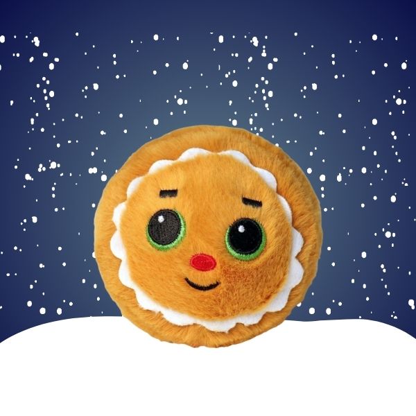 Cookie Gingerbread Beanie Bouncer