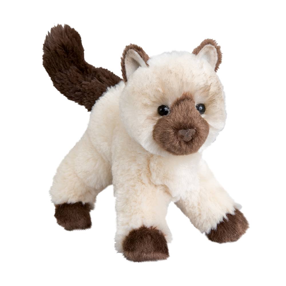 Himalayan Cat Hilda