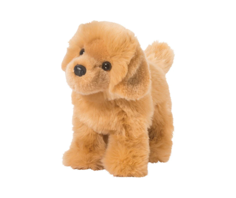 Chap Golden Retriever