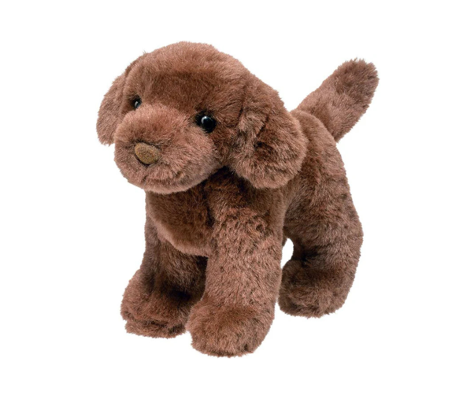 Sylvia Chocolate Lab