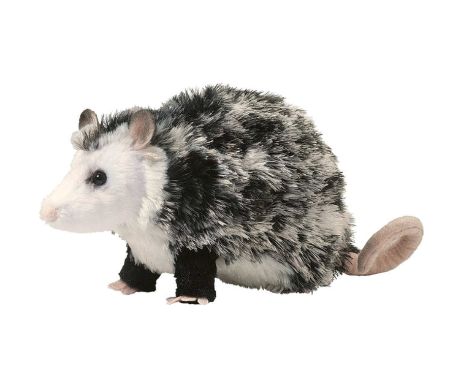 Oliver Possum