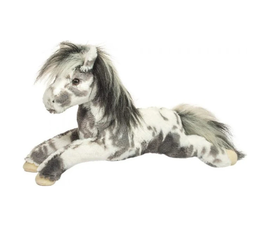 Starsky Appaloosa Horse