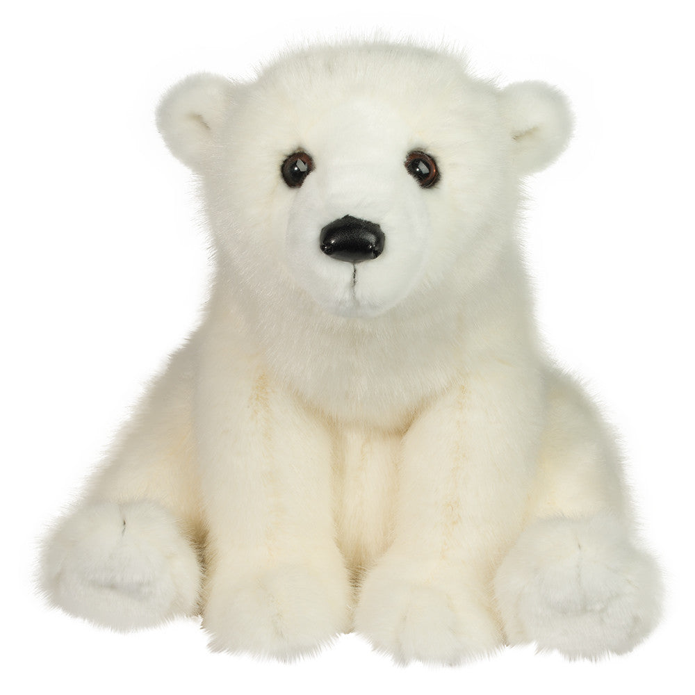 Polar Bear Sitting Ursus