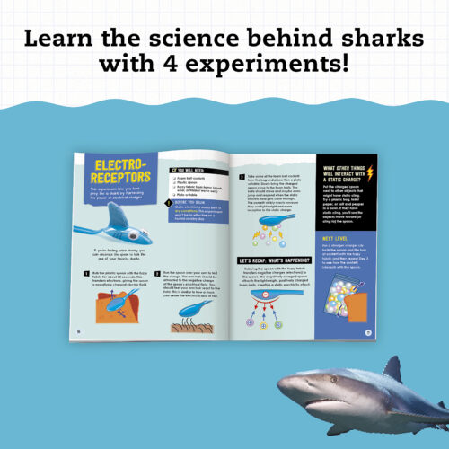 Shark-Tastic Teeth Ultimate Collection with Jaw-Some Activities