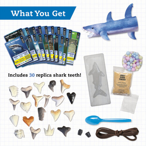 Shark-Tastic Teeth Ultimate Collection with Jaw-Some Activities
