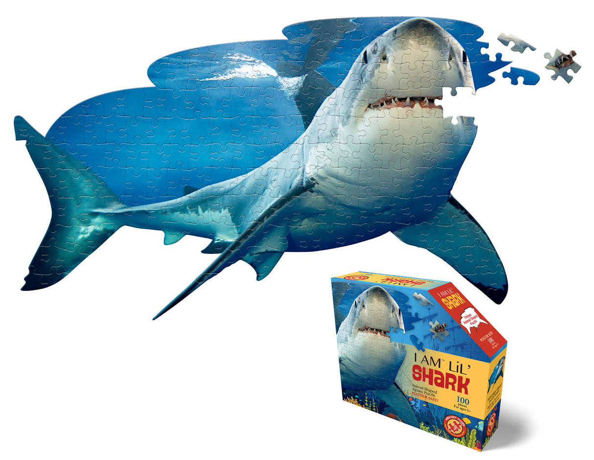 100 pc I am Lil' Shark