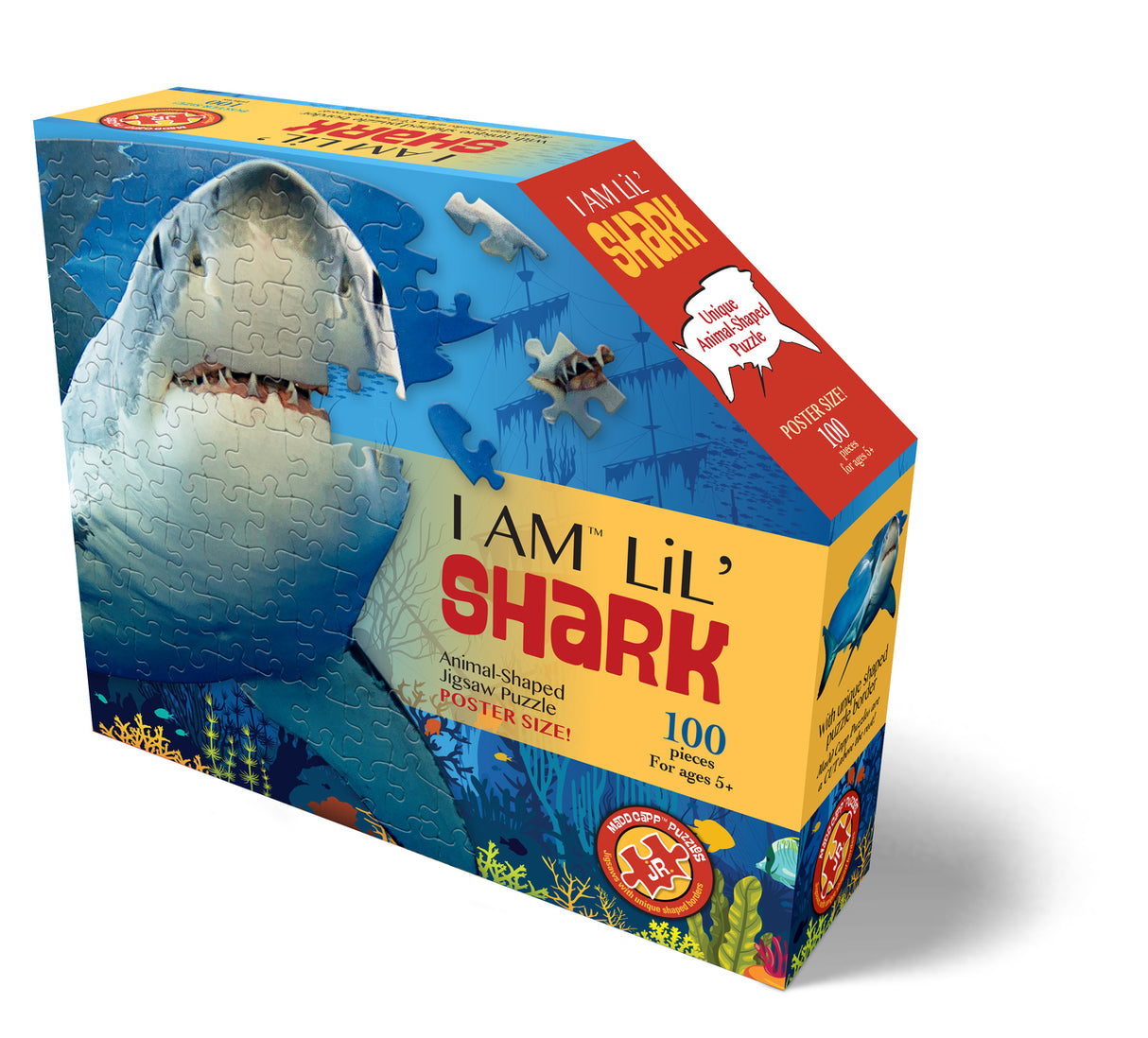 100 pc I am Lil' Shark