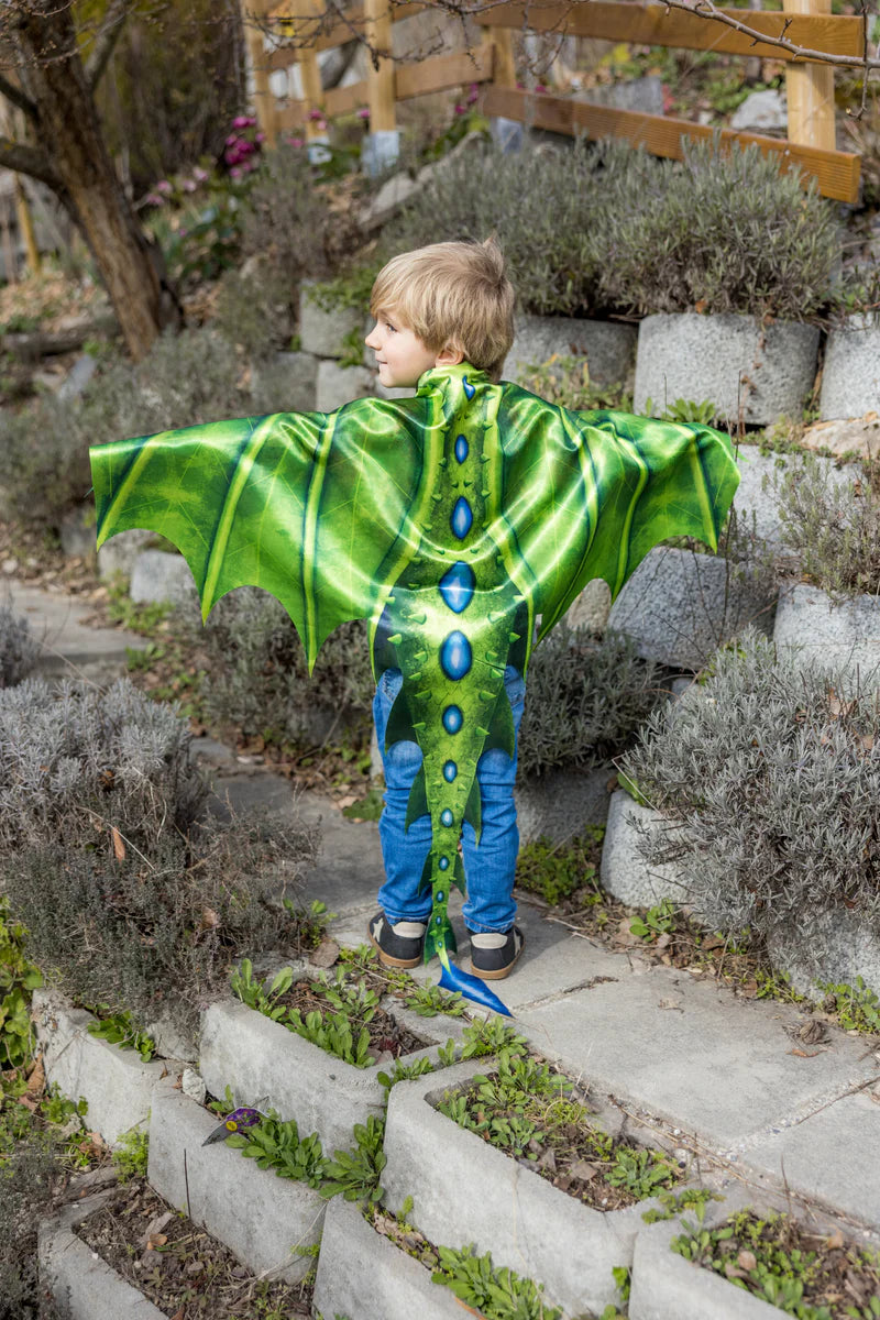 Legendary Dragon Soft Wings and Mask Size 4-6