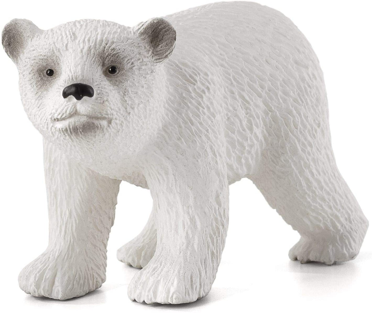 Polar Bear Cub Walking