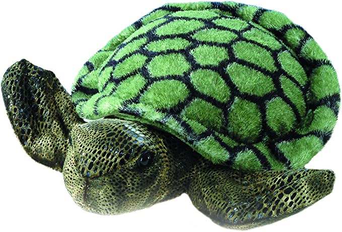 Splish Splash Turtle 8"