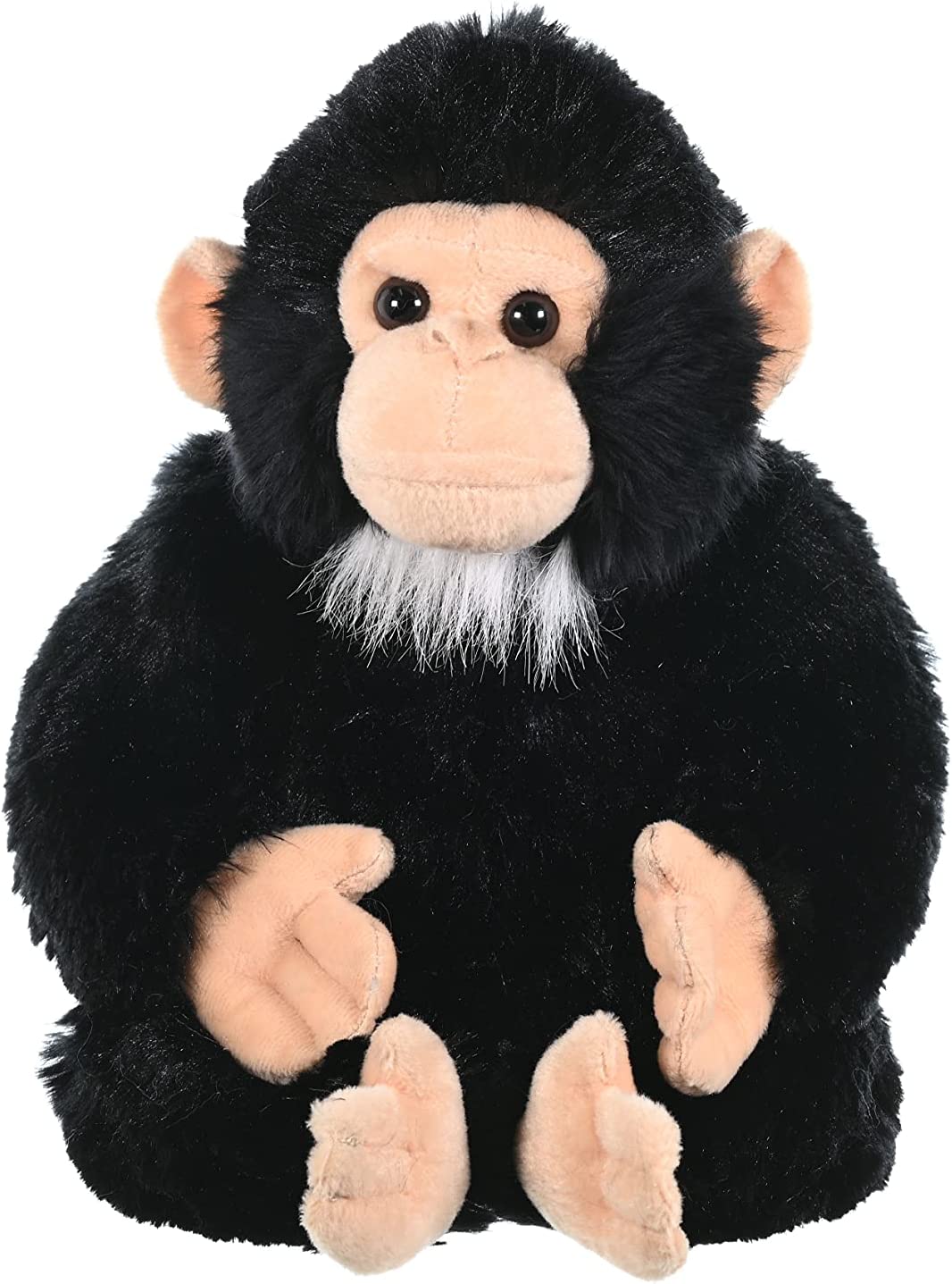 Chimpanzee 12"