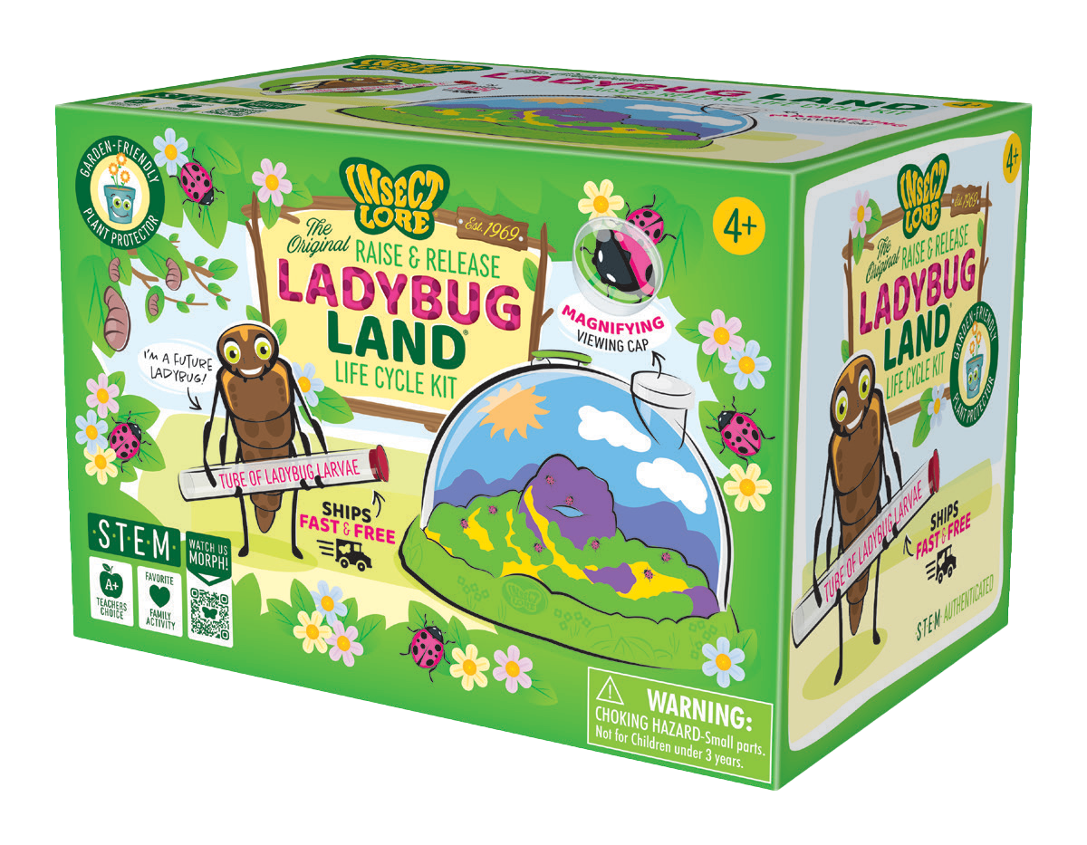 Ladybug Land with Prepaid Voucher