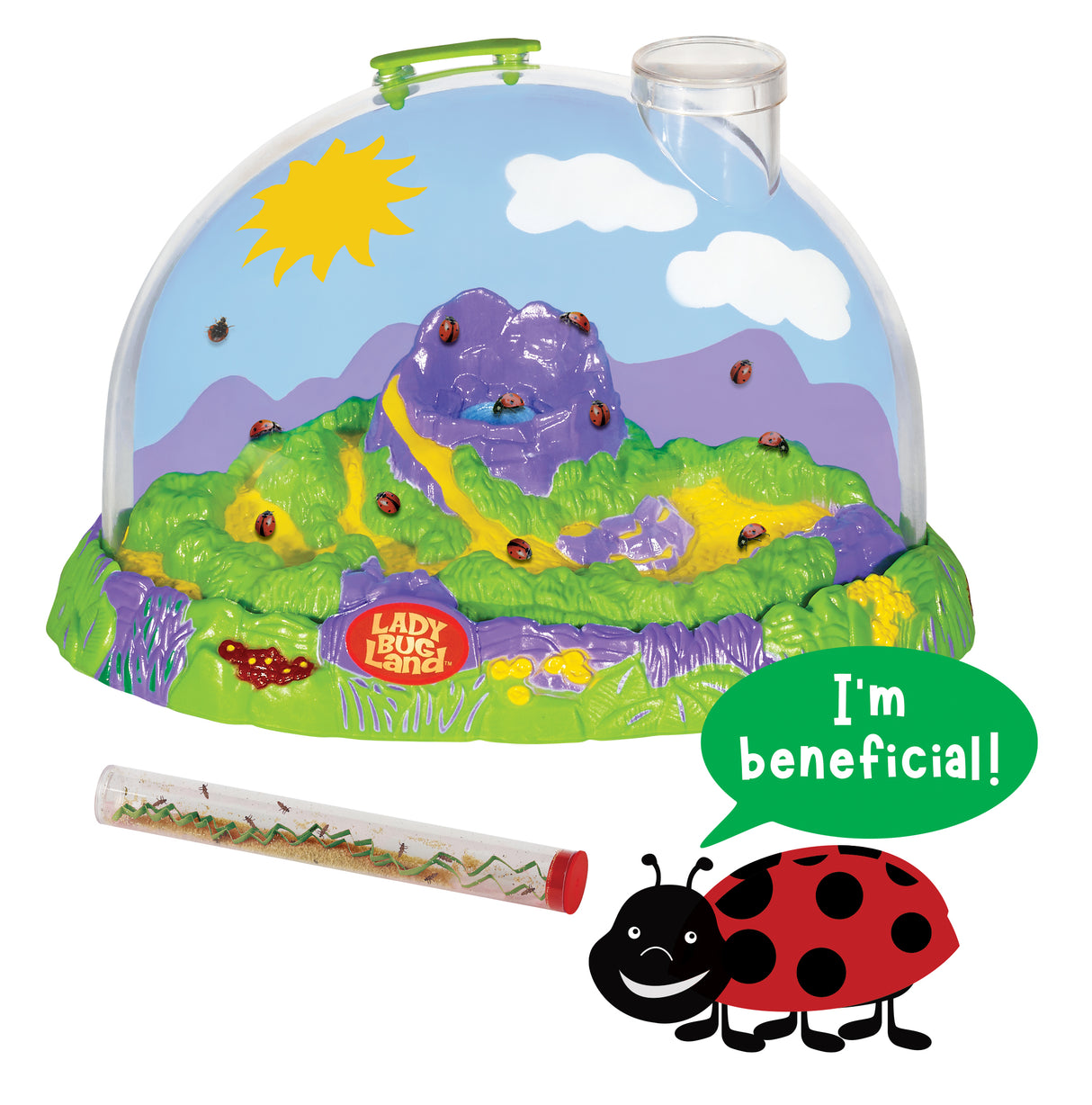 Ladybug Land with Prepaid Voucher