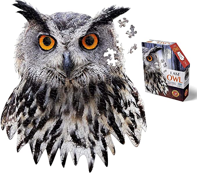 300 pc I Am Owl