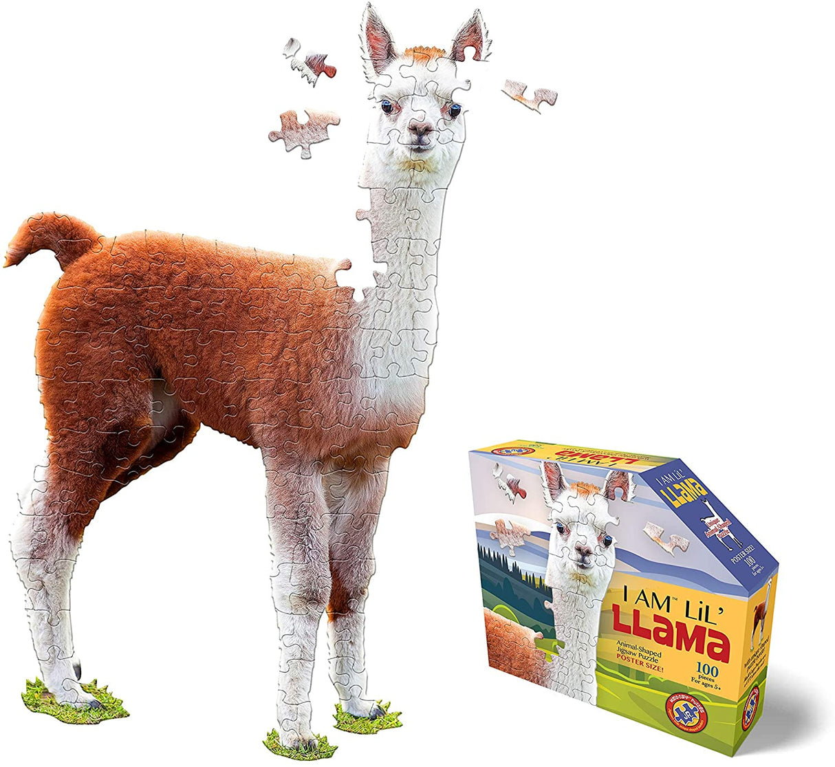 100 pc I Am Lil' Llama