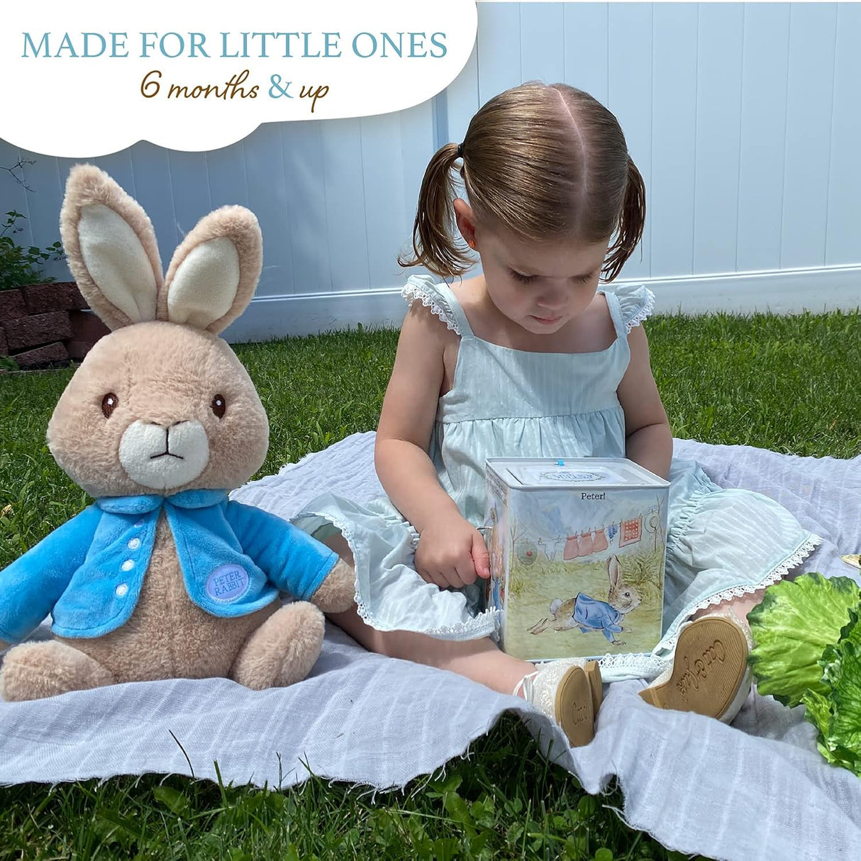 Beatrix Potter Peter Rabbit Jack in the Box