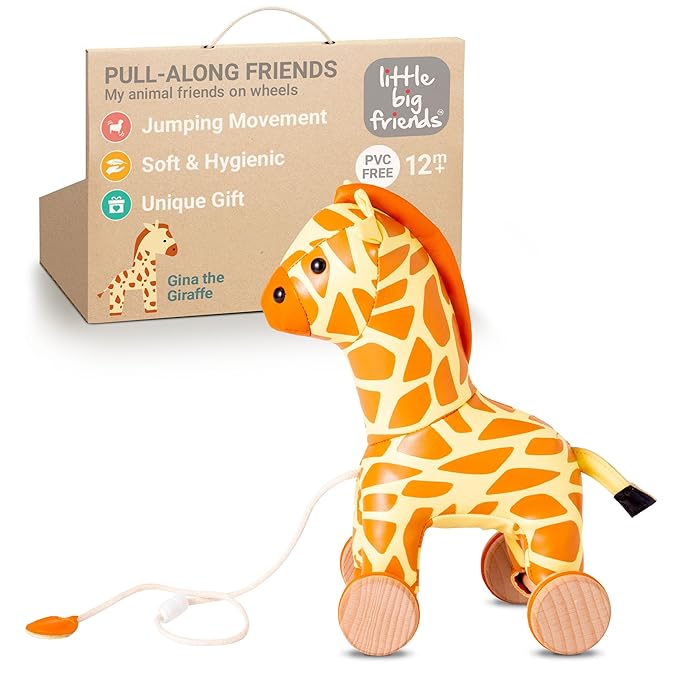 Pull Along Gina the Giraffe