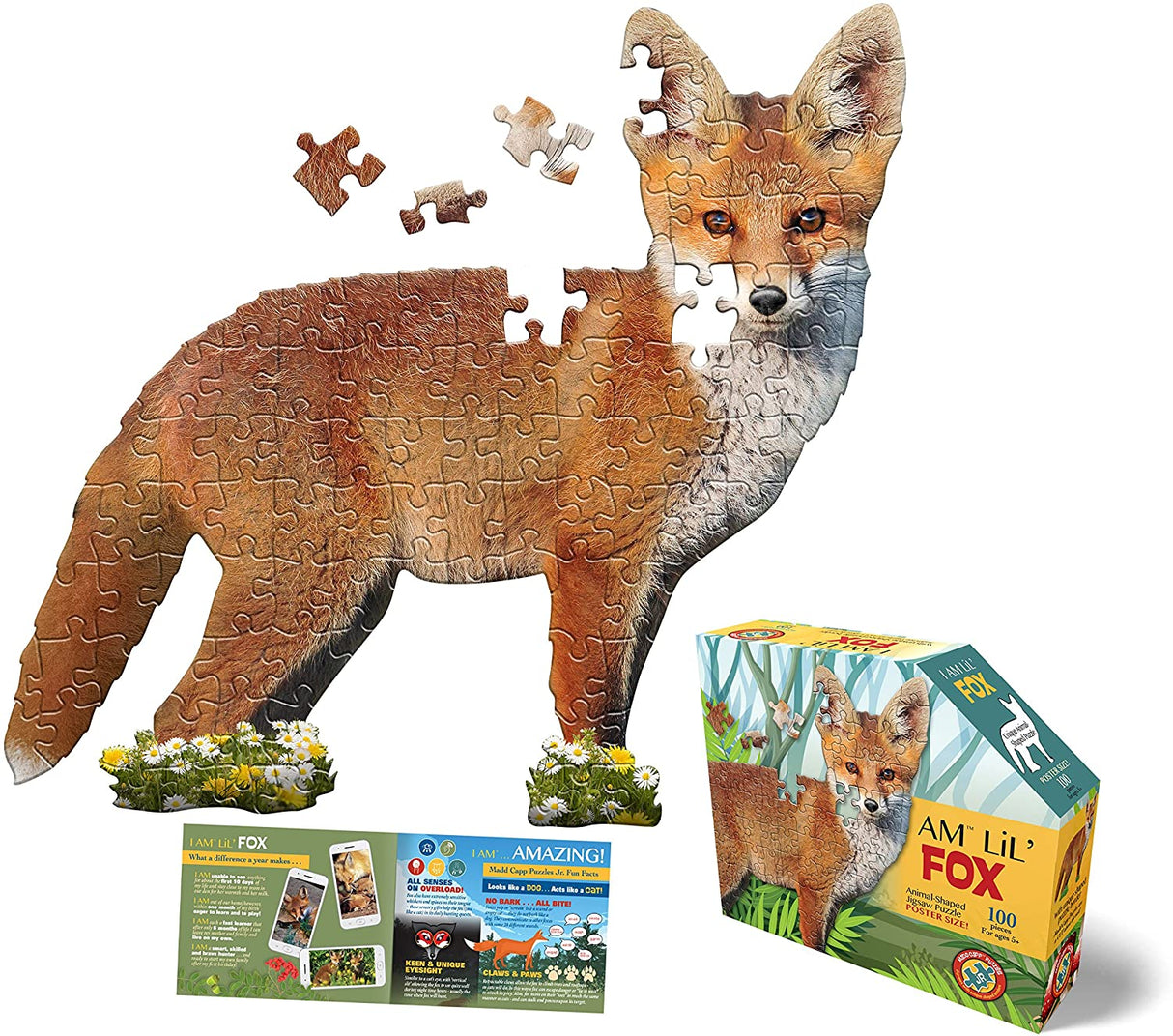 100 pc I Am Lil' Fox