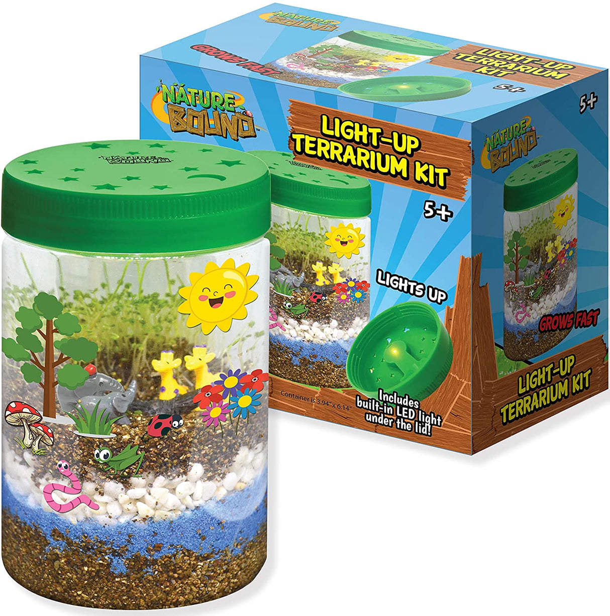 Light Up Terrarium Safari