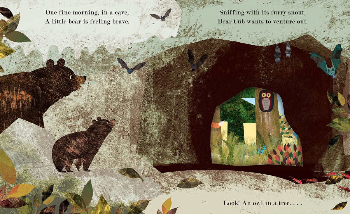 Home A Peek-Through Board Book