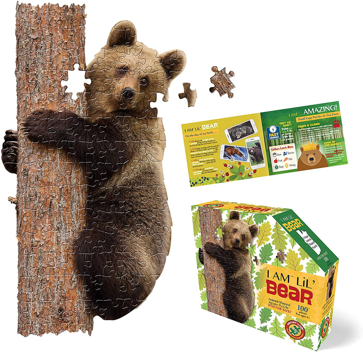100 pc I Am Lil' Bear