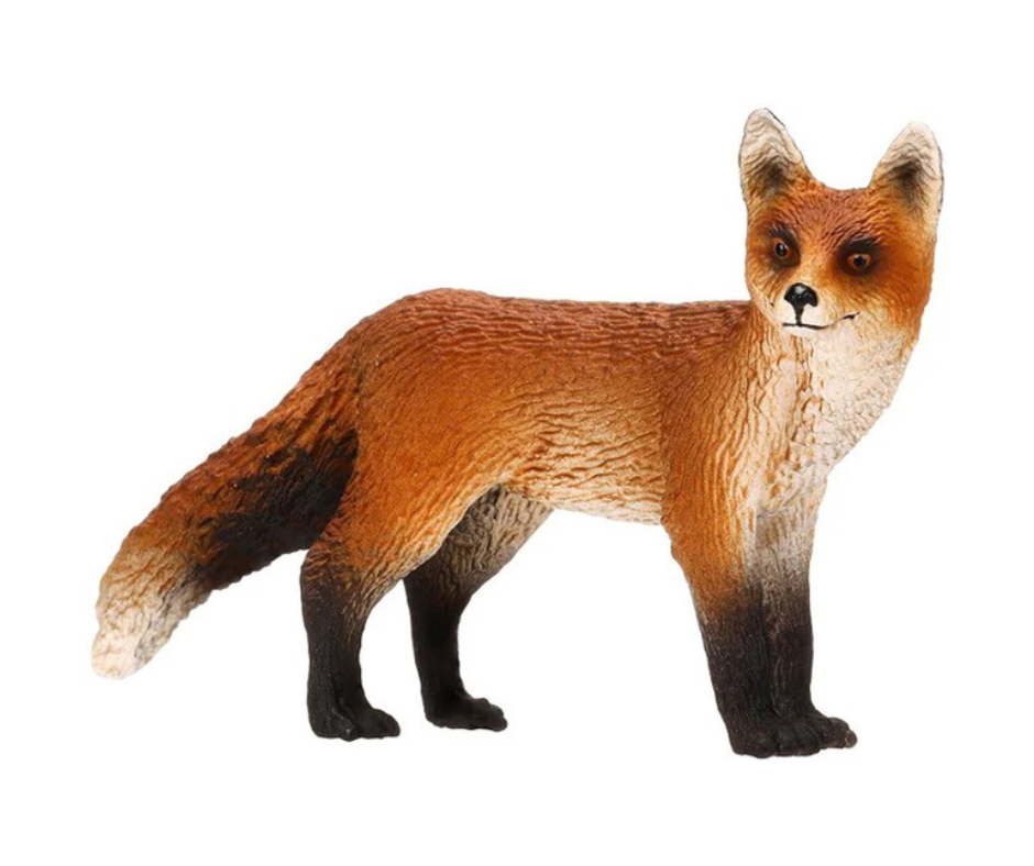 Fox