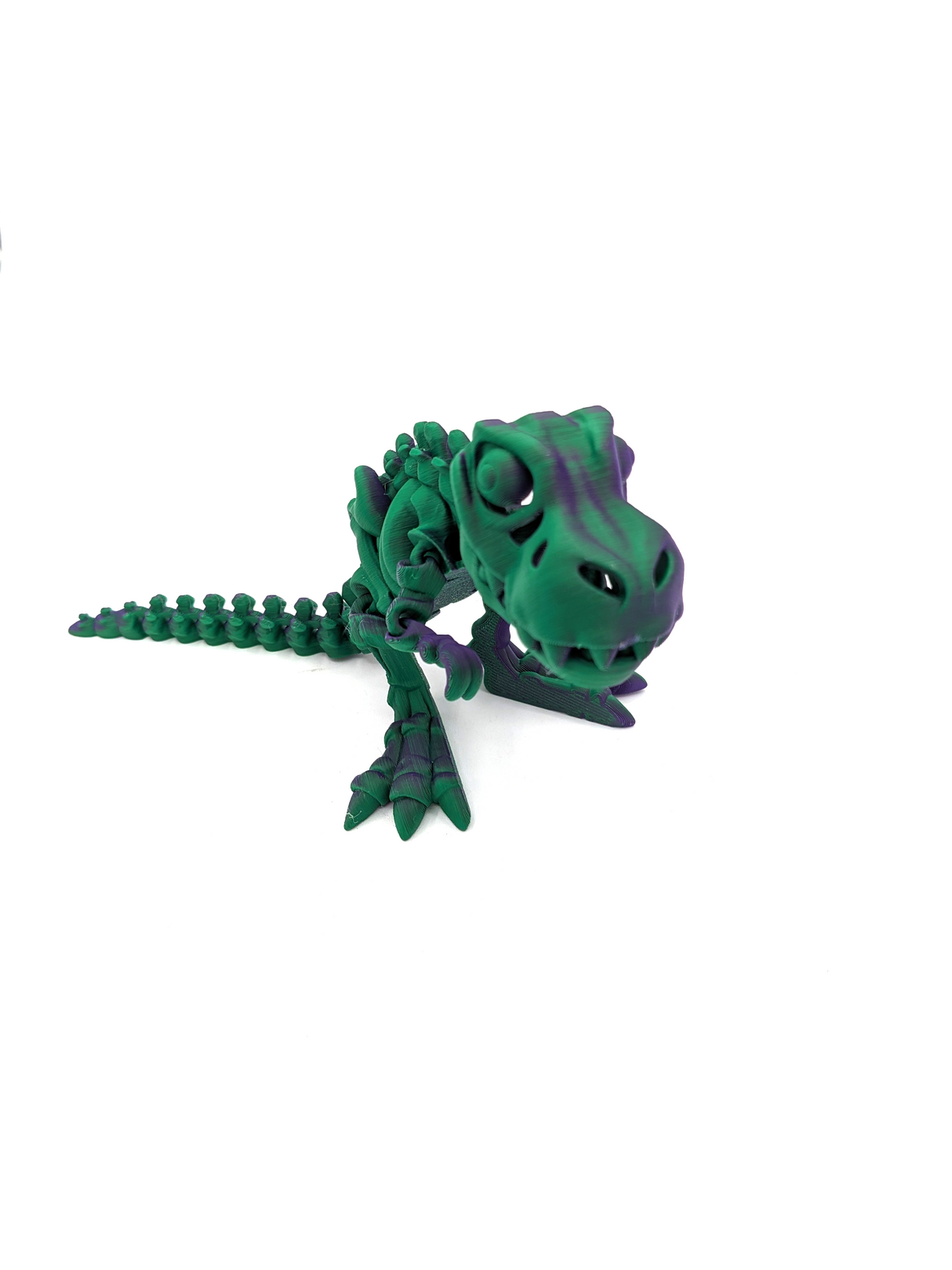 3D Printed Small TRex Skelton