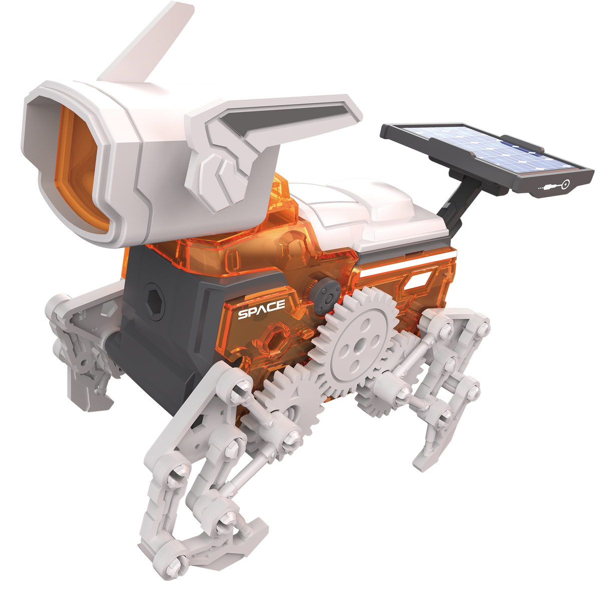 Teach Tech Robot Dog
