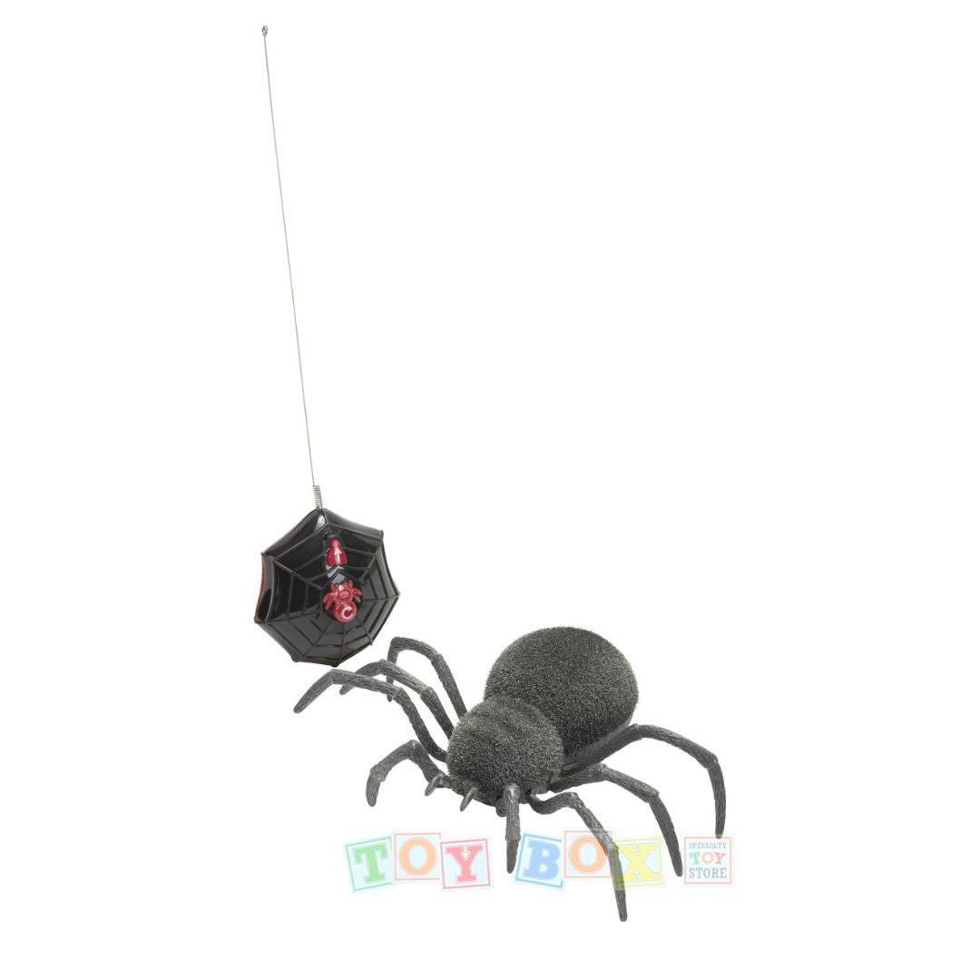 Spooky Spider