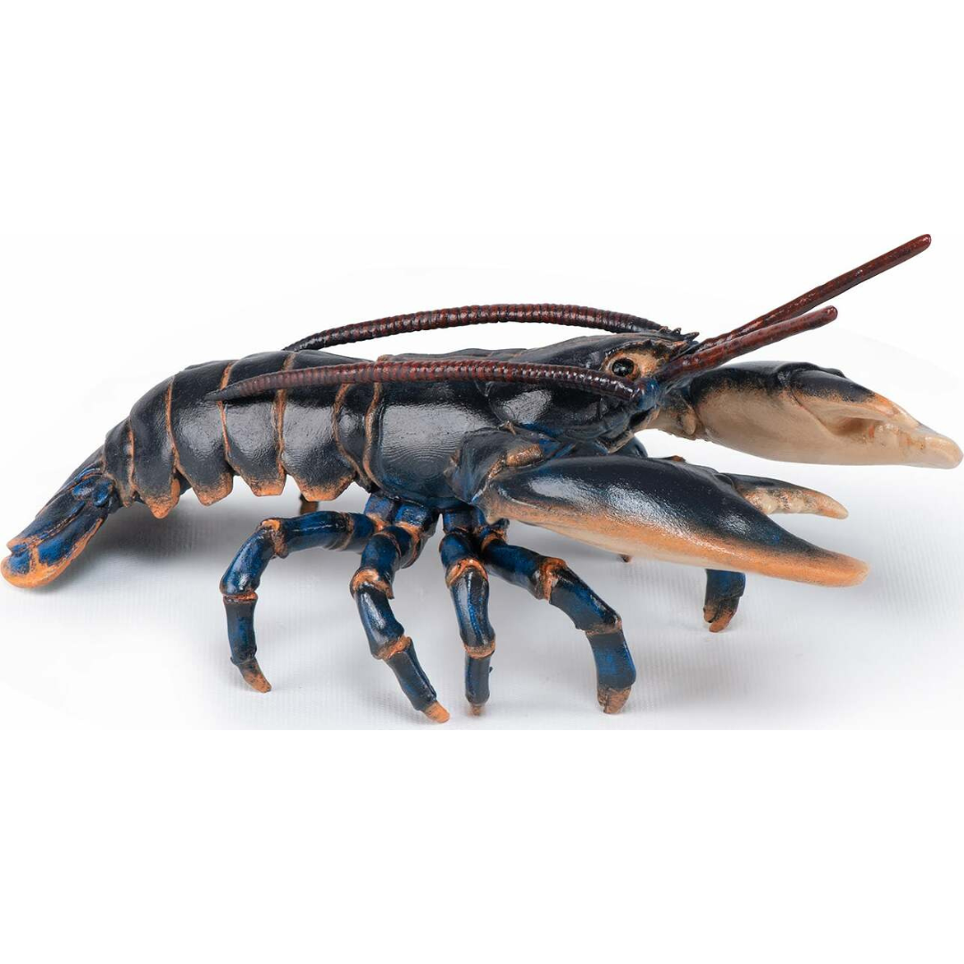 Papo France Lobster