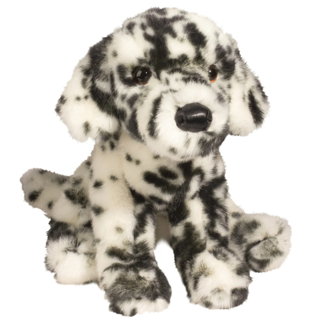 Mackay Dalmatian
