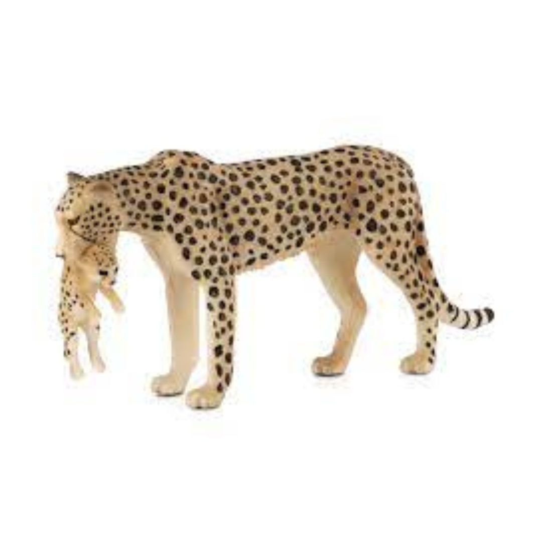 Cheetah Female with Cub