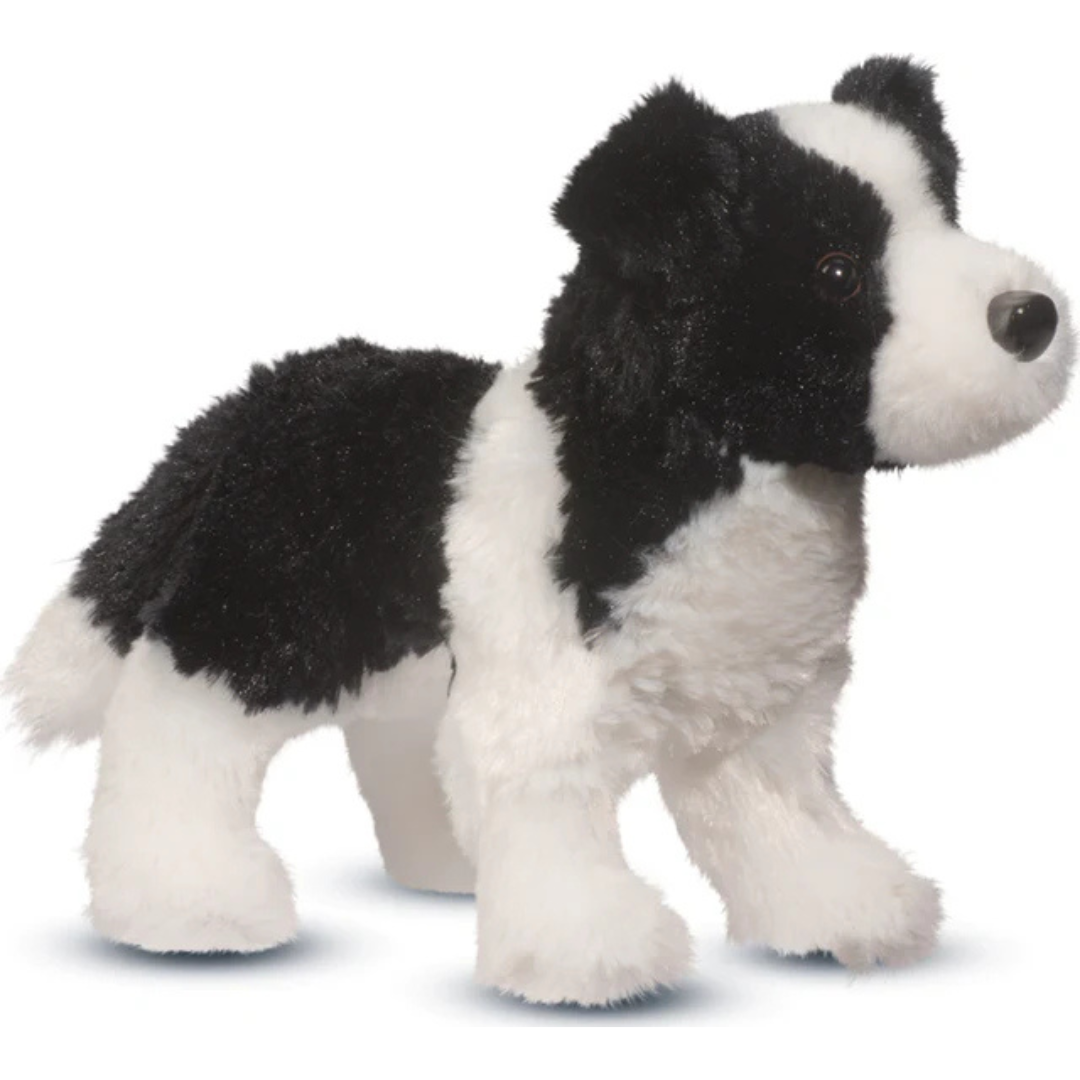 Meadow Border Collie