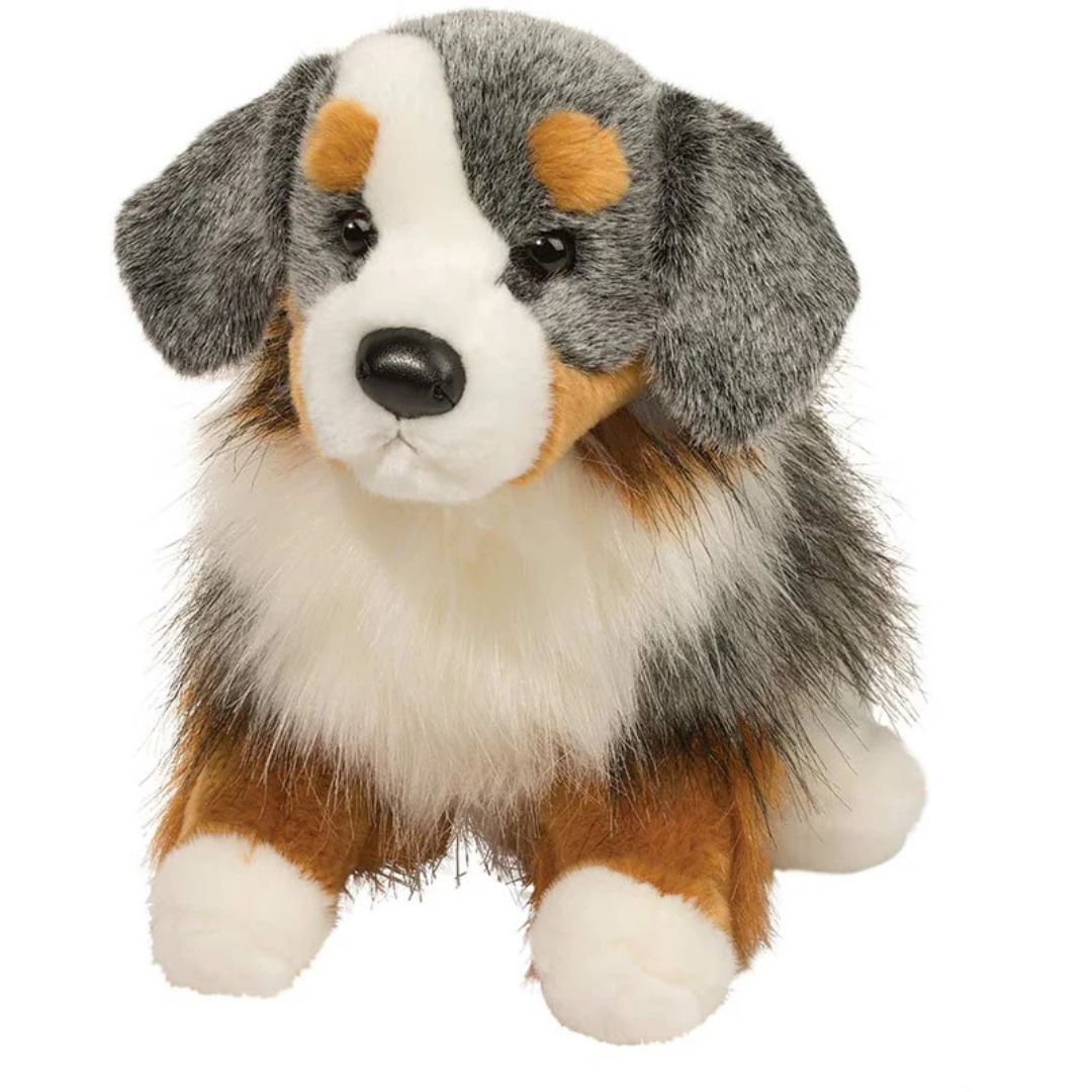 Sinclair Australian Shephard