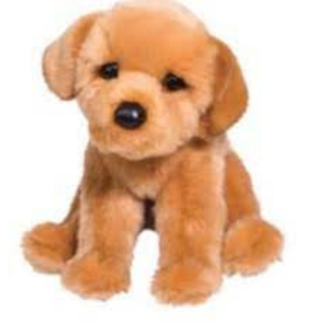 August Golden Retriever