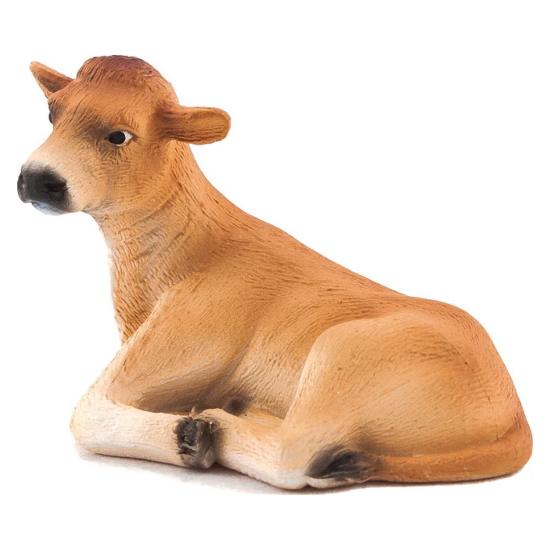 Jersey Calf Lying Down