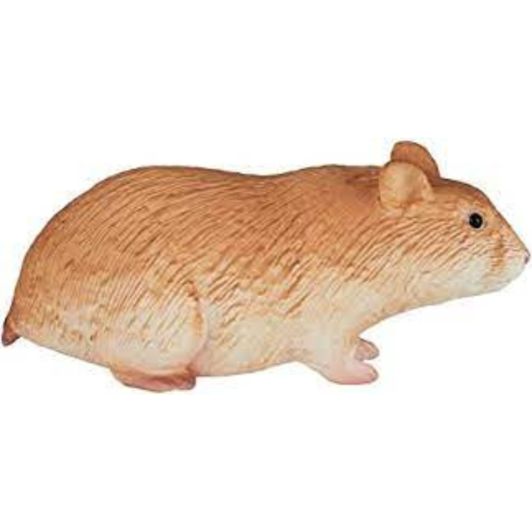 Hamster