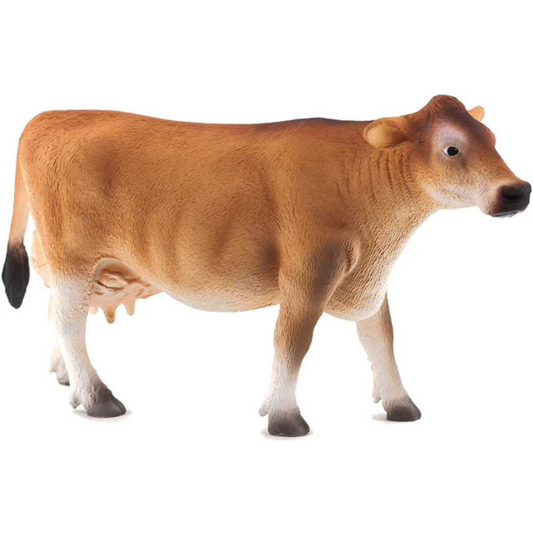 Jersey Cow